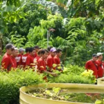 Bisnis pasif untuk pensiunan
