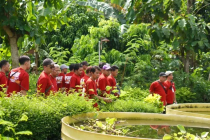 Bisnis pasif untuk pensiunan