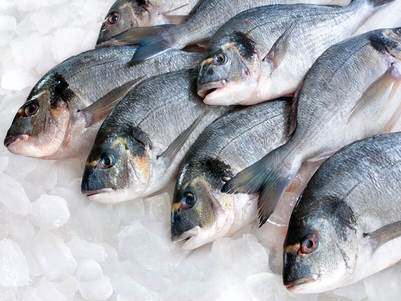 usaha pemisahan daging dan tulang ikan