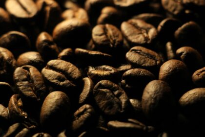 kopi terenak di indonesia cocok ekspor