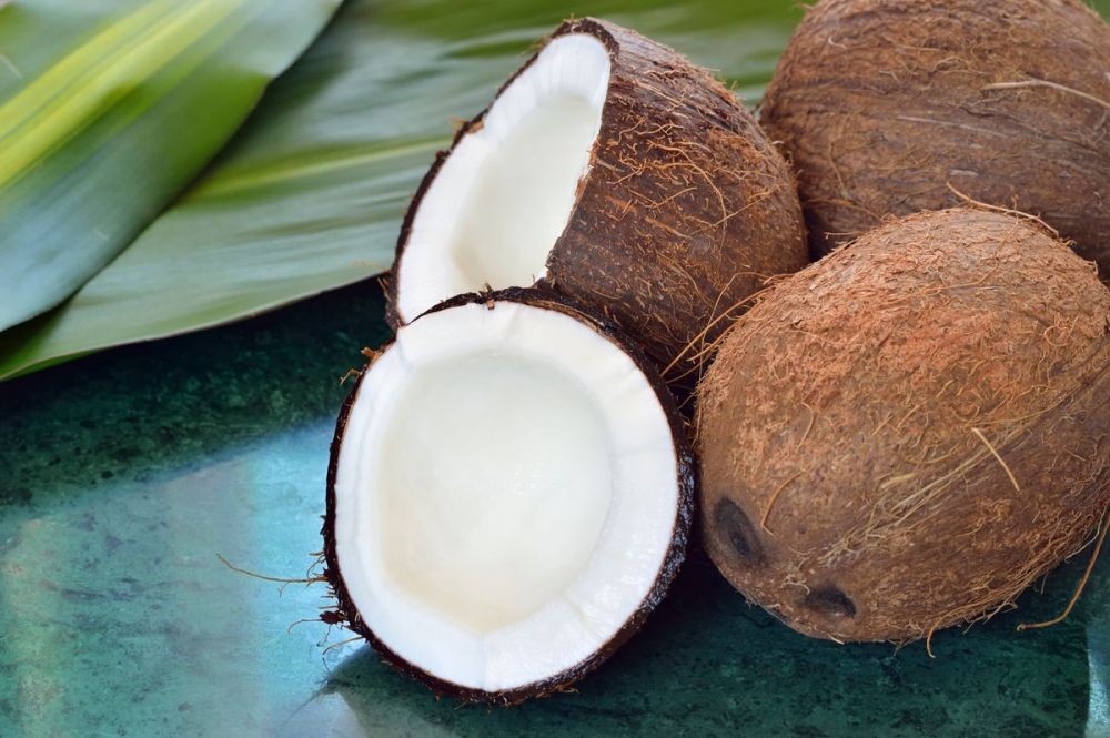 aneka olahan kelapa