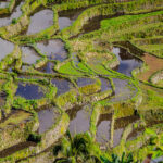mesin pompa dorong untuk sawah