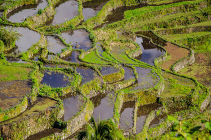 mesin pompa dorong untuk sawah