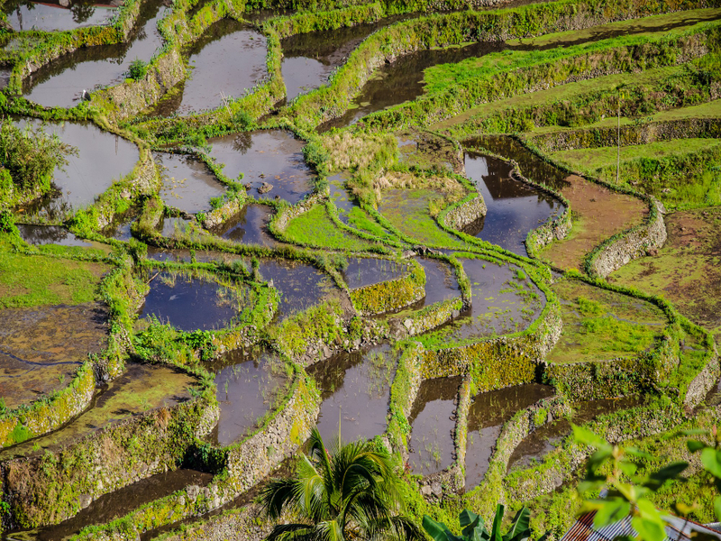 mesin pompa dorong untuk sawah