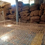 Integrasi Cocomesh dalam Eco-Lab Kampus