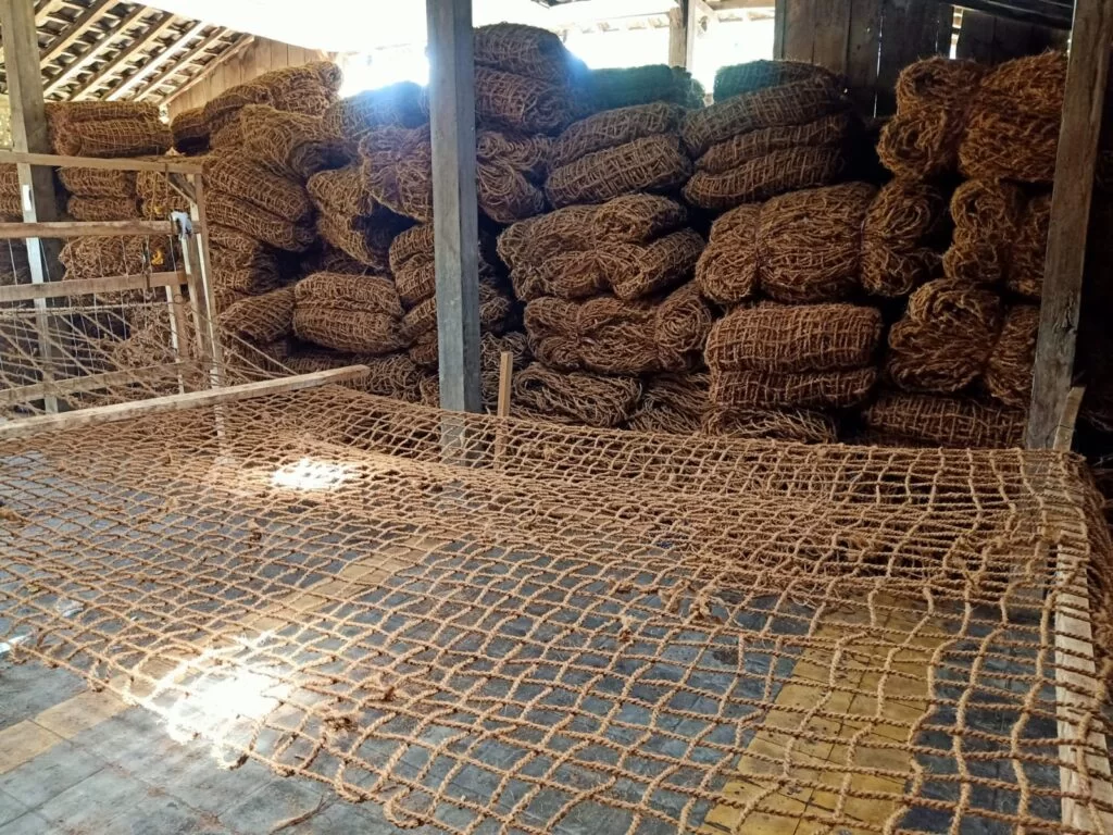 Integrasi Cocomesh dalam Eco-Lab Kampus