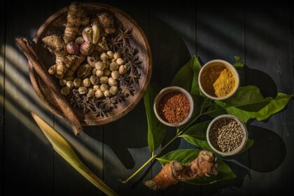 alat parut rempah dapur