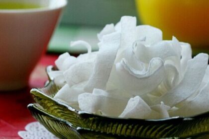 mesin ambil daging kelapa