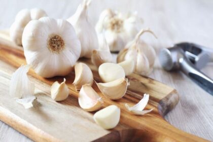 tips beli mesin pengupas bawang
