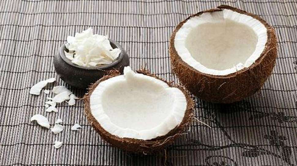 mesin parut kelapa mini