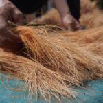 Sabut Kelapa sebagai Bahan Utama Produk Eco-Branding