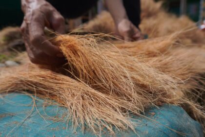 Sabut Kelapa sebagai Bahan Utama Produk Eco-Branding