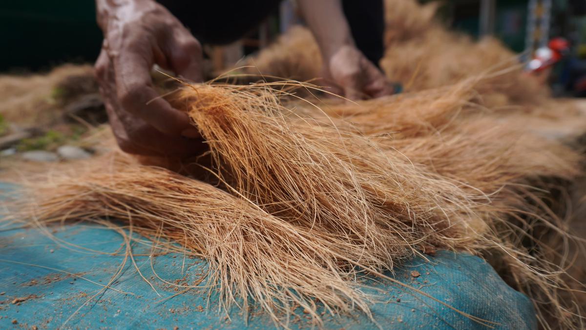 Sabut Kelapa sebagai Bahan Utama Produk Eco-Branding