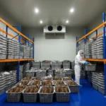cara simpan makanan tetap segar