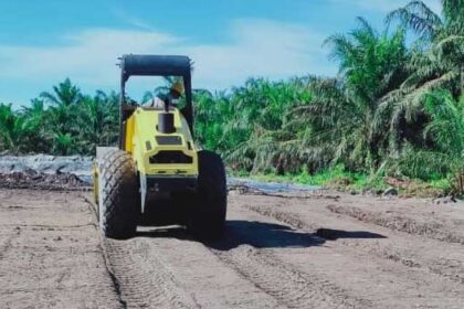 Cocomesh dalam Pembelajaran Interdisipliner Hijau