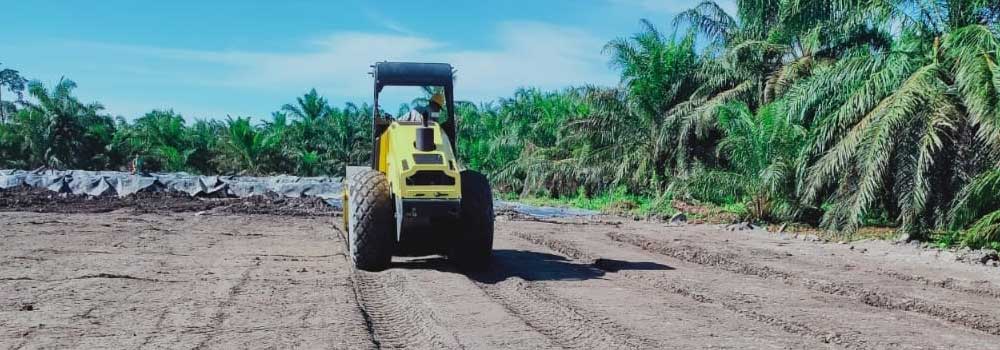Cocomesh dalam Pembelajaran Interdisipliner Hijau