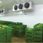 Solusi Praktis Gudang Pendingin