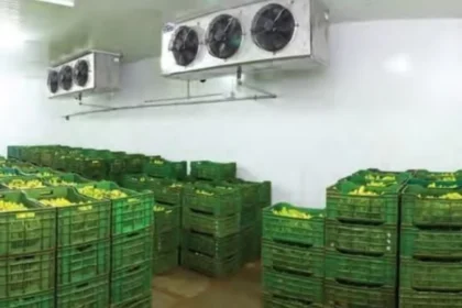 Solusi Praktis Gudang Pendingin