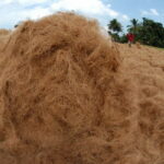 sabut kelapa untuk sistem filtrasi biologi alami