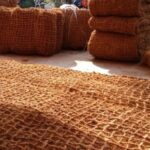 Industri kreatif ramah lingkungan berbasis kelapa