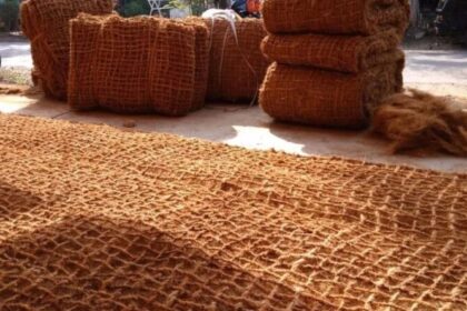Industri kreatif ramah lingkungan berbasis kelapa