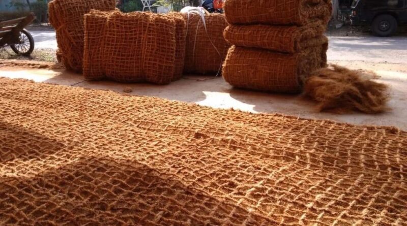 Industri kreatif ramah lingkungan berbasis kelapa