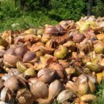 Era Baru Material Alami Sabut Kelapa