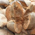 Industri kreatif berbasis sabut kelapa