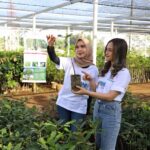 peran pemuda dalam industri cocomesh