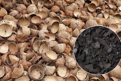 coconut charcoal briquettes for shisha