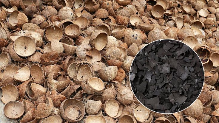 coconut charcoal briquettes for shisha