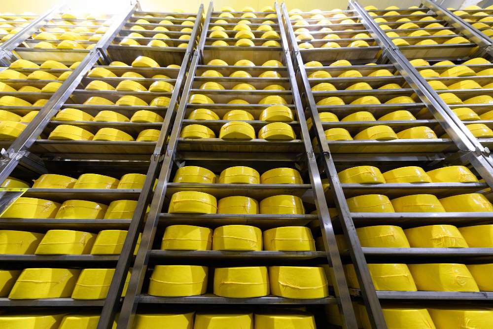 Peran Mesin Conveyor Feeder 