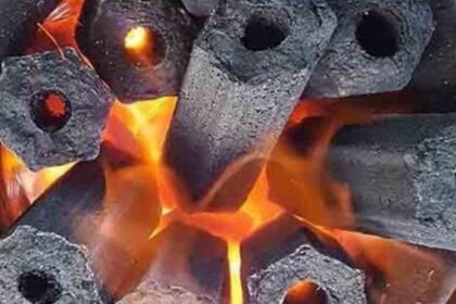 renewable agricultural waste charcoal