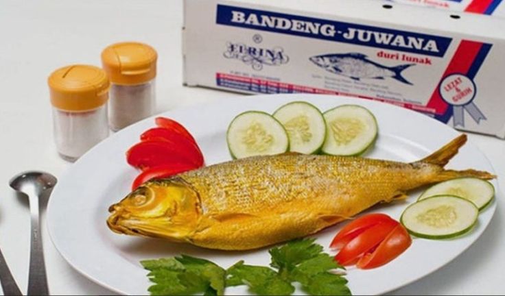 Alat produksi bandeng presto