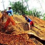 karpet sabut kelapa lereng