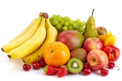 Sistem Usaha Pengolahan Buah