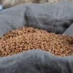 Contoh Kerusakan Mesin Pelet Apung