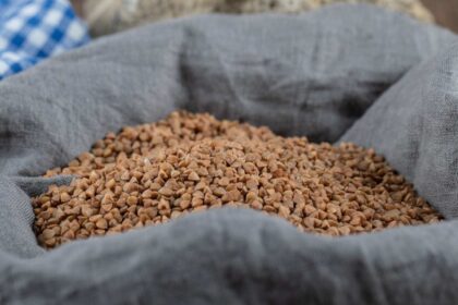 Contoh Kerusakan Mesin Pelet Apung