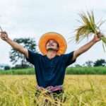 keunggulan mesin penggiling padi