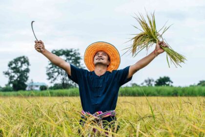 keunggulan mesin penggiling padi