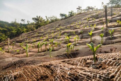 manfaat cocomesh dalam proyek revegetasi