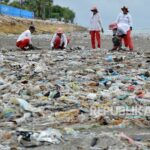 Cara Mengurangi Pencemaran Lingkungan Laut dari Sampah Plastik