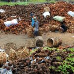 solusi mengolah limbah tempurung kelapa