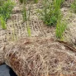 pengaruh cuaca terhadap ketahanan cocomesh