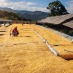 pengeringan bahan pertanian skala besar