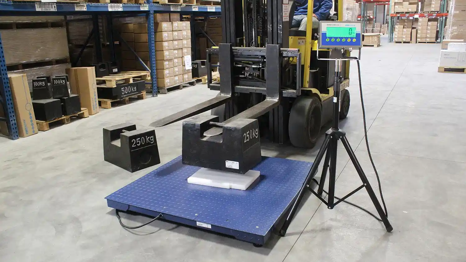 cara memilih floor scale