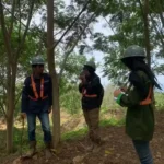 Pentingnya survei lahan sebelum reklamasi