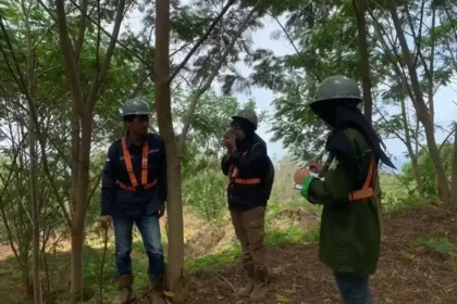 Pentingnya survei lahan sebelum reklamasi