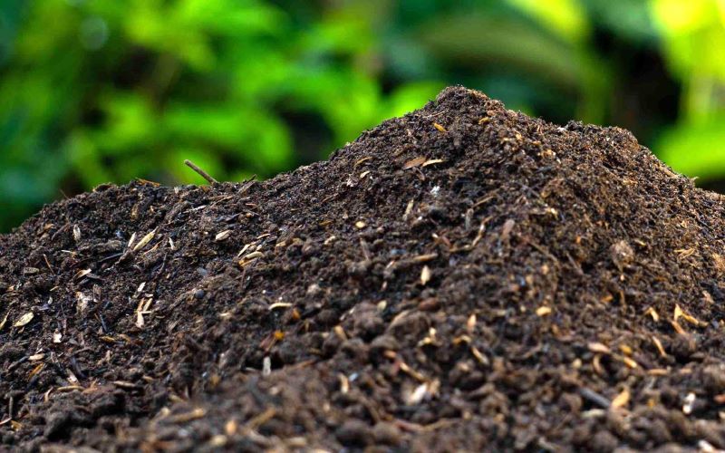 penyebab kompos masih bercampur bahan kasar