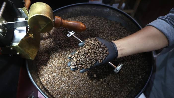 tahapan pengolahan kopi setelah proses pengeringan